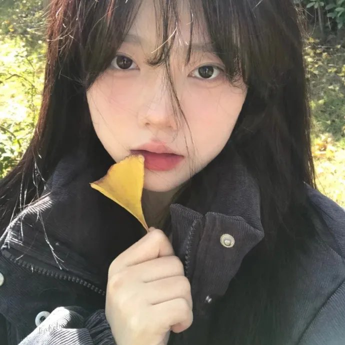 菊石